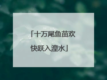十万尾鱼苗欢快跃入湟水