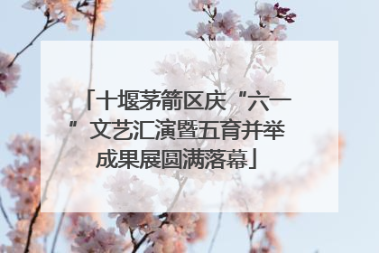 十堰茅箭区庆“六一”文艺汇演暨五育并举成果展圆满落幕