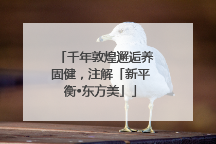 千年敦煌邂逅养固健，注解「新平衡•东方美」