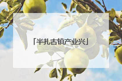 半扎古镇产业兴
