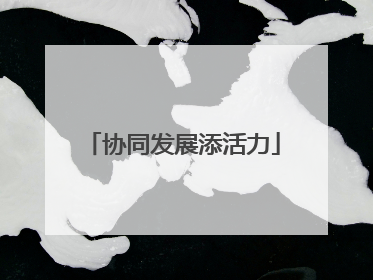 协同发展添活力