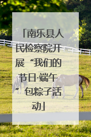 南乐县人民检察院开展“我们的节日·端午”包粽子活动
