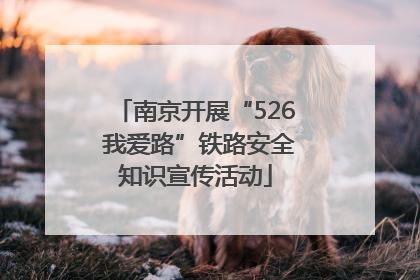 南京开展“526 我爱路”铁路安全知识宣传活动