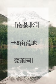 南茶北引→8亩荒地变茶园