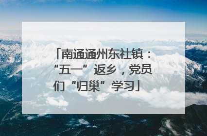 南通通州东社镇：“五一”返乡，党员们“归巢”学习