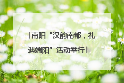 南阳“汉韵南都，礼遇端阳”活动举行