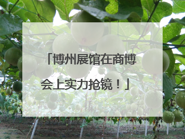 博州展馆在商博会上实力抢镜！