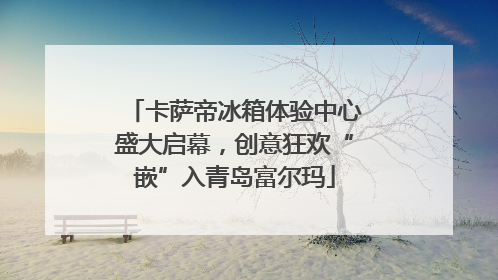 卡萨帝冰箱体验中心盛大启幕，创意狂欢“嵌”入青岛富尔玛