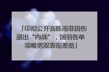 印尼公开赛陈雨菲因伤退出“内战”，国羽各单项唯男双表现差劲