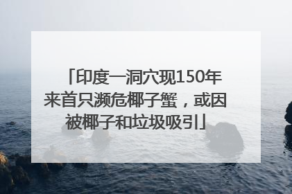 印度一洞穴现150年来首只濒危椰子蟹，或因被椰子和垃圾吸引