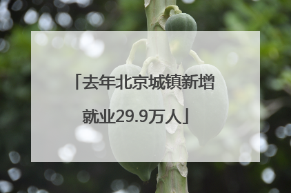 去年北京城镇新增就业29.9万人