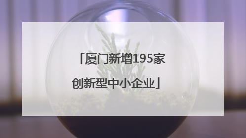 厦门新增195家创新型中小企业