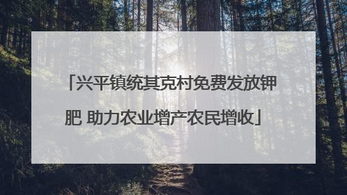 兴平镇统其克村免费发放钾肥 助力农业增产农民增收