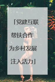 党建互联帮扶合作 为乡村发展注入活力