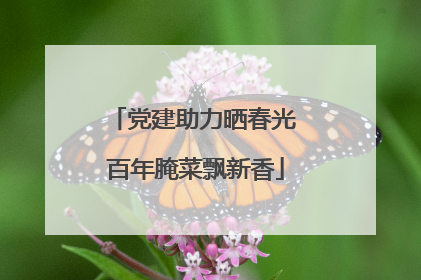 党建助力晒春光 百年腌菜飘新香
