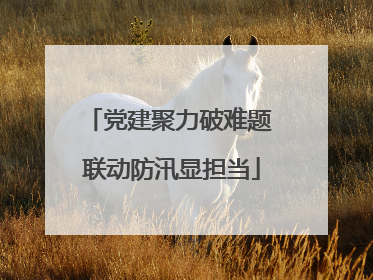 党建聚力破难题 联动防汛显担当