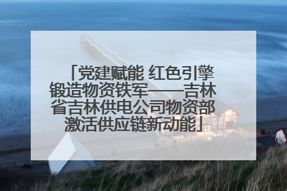 党建赋能 红色引擎锻造物资铁军——吉林省吉林供电公司物资部激活供应链新动能