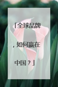 全球品牌，如何赢在中国？