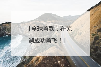 全球首款，在芜湖成功首飞！