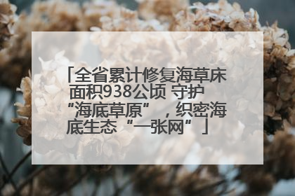 全省累计修复海草床面积938公顷 守护“海底草原”，织密海底生态“一张网”