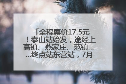 全程票价17.5元！泰山站始发，途经上高镇、燕家庄、范镇……终点站东营站，7月1日开通！