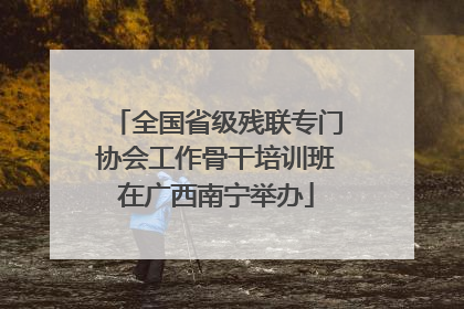 全国省级残联专门协会工作骨干培训班在广西南宁举办