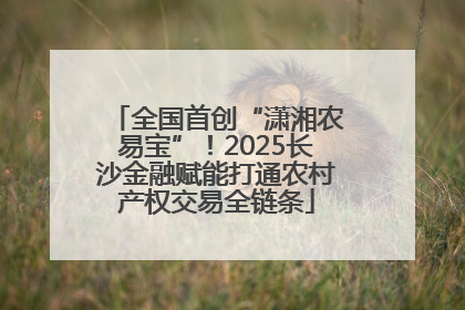 全国首创“潇湘农易宝”！2025长沙金融赋能打通农村产权交易全链条