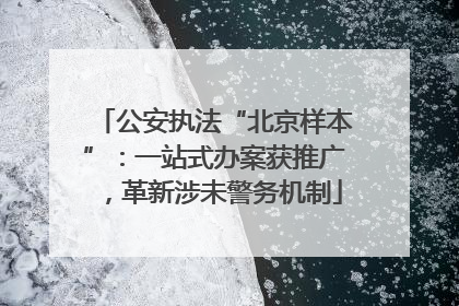 公安执法“北京样本”：一站式办案获推广，革新涉未警务机制