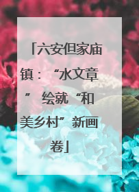六安但家庙镇：“水文章” 绘就“和美乡村”新画卷