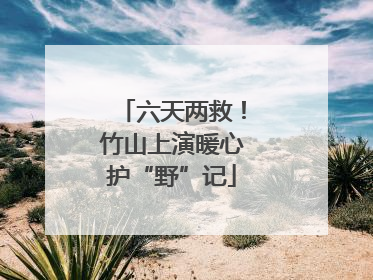 六天两救！竹山上演暖心护“野”记