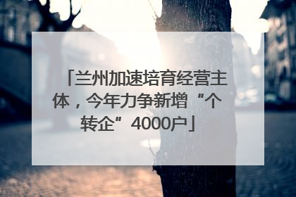 兰州加速培育经营主体，今年力争新增“个转企”4000户