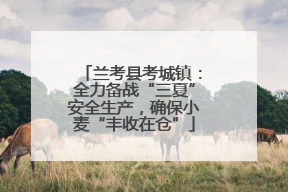 兰考县考城镇：全力备战“三夏”安全生产，确保小麦“丰收在仓”