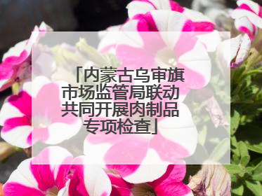 内蒙古乌审旗市场监管局联动共同开展肉制品专项检查