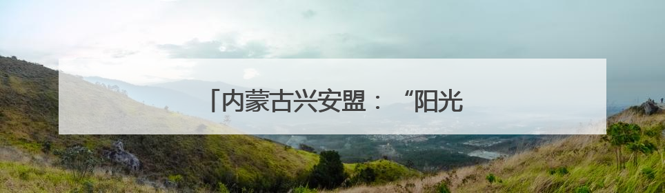 内蒙古兴安盟：“阳光银行”点亮乡村振兴路