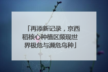 再添新记录，京西稻核心种植区频现世界极危与濒危鸟种