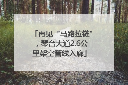 再见“马路拉链”，琴台大道2.6公里架空管线入廊