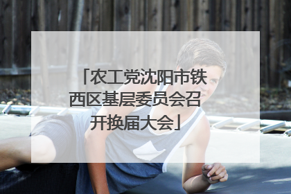 农工党沈阳市铁西区基层委员会召开换届大会