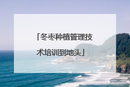 冬枣种植管理技术培训到地头