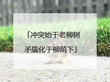 冲突始于老柳树 矛盾化于柳荫下