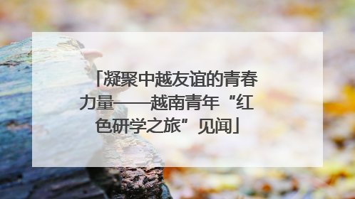 凝聚中越友谊的青春力量——越南青年“红色研学之旅”见闻