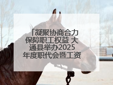 凝聚协商合力 保障职工权益 大通县举办2025年度职代会暨工资集体协商现场观摩交流活动