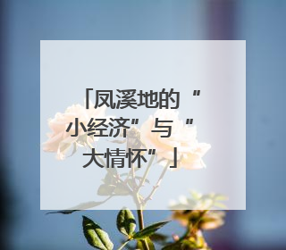凤溪地的“小经济”与“大情怀”