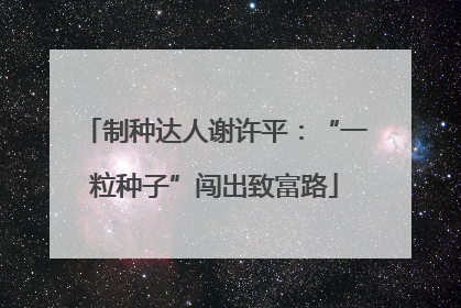 制种达人谢许平：“一粒种子”闯出致富路
