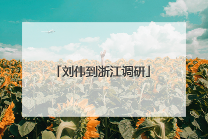 刘伟到浙江调研
