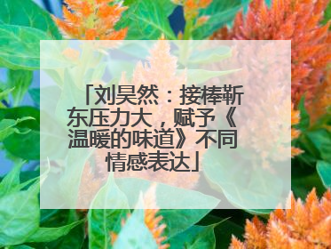 刘昊然：接棒靳东压力大，赋予《温暖的味道》不同情感表达