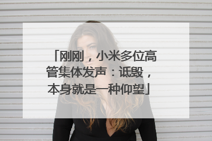 刚刚，小米多位高管集体发声：诋毁，本身就是一种仰望
