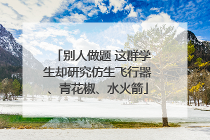 别人做题 这群学生却研究仿生飞行器、青花椒、水火箭