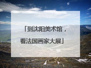 到沈阳美术馆，看法国画家大展