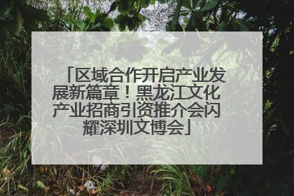 区域合作开启产业发展新篇章！黑龙江文化产业招商引资推介会闪耀深圳文博会