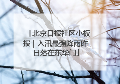 北京日报社区小板报｜入汛最强降雨昨日落在东华门